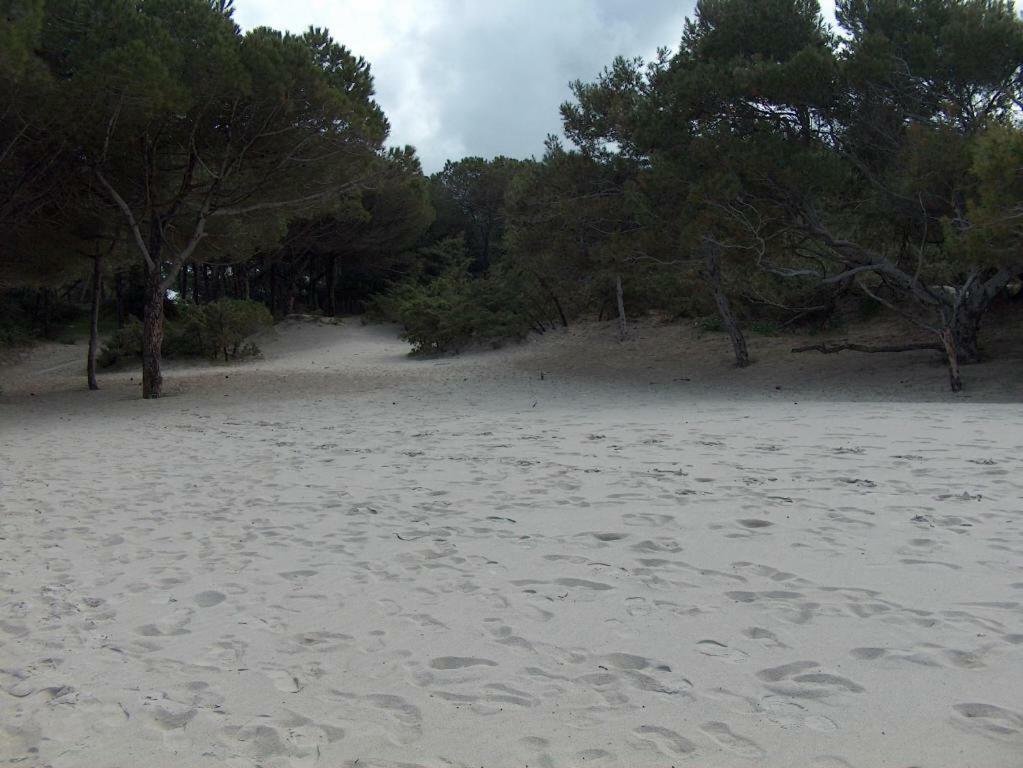 Regina Alghero